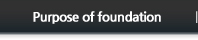 Purpose of foundation